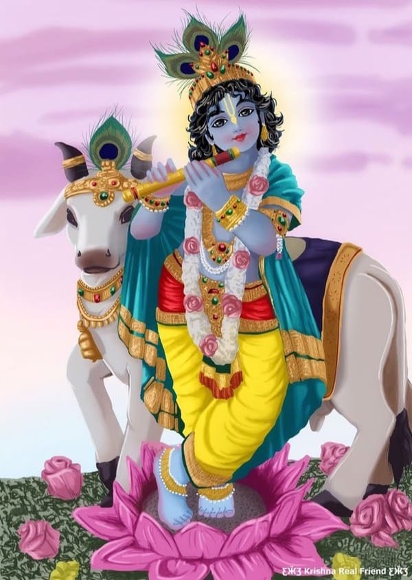 Launching my book blog